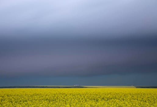 Ominous Storm Clouds Prairie Summer Rural Scene