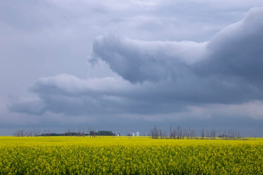 Ominous Storm Clouds Prairie Summer Rural Scene