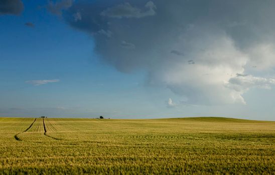 Ominous Storm Clouds Prairie Summer Rural Scene