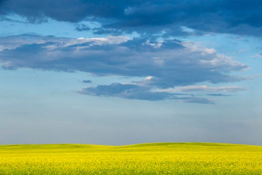 Ominous Storm Clouds Prairie Summer Rural Scene