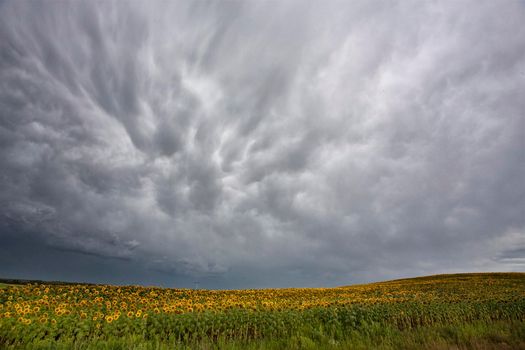 Ominous Storm Clouds Prairie Summer Rural Scene