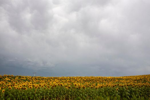 Ominous Storm Clouds Prairie Summer Rural Scene