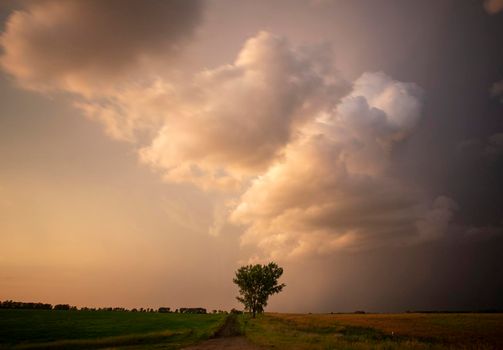 Ominous Storm Clouds Prairie Summer Rural Susnet