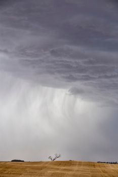 Ominous Storm Clouds Prairie Summer Rural Scene