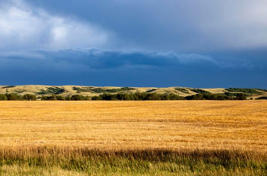 Ominous Storm Clouds Prairie Summer Rural Scene