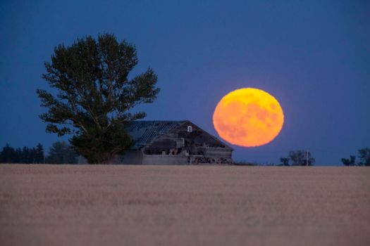 Prairie Full Moon in Saskatchewan Canada rural
