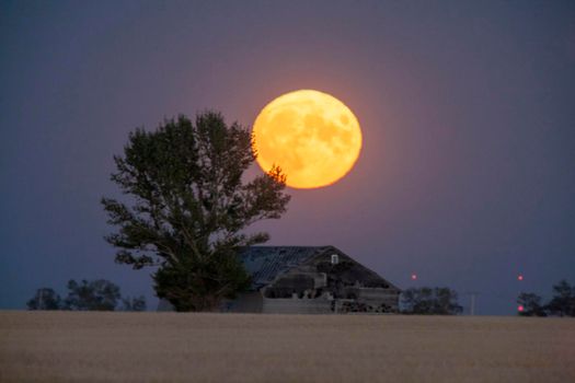 Prairie Full Moon in Saskatchewan Canada rural