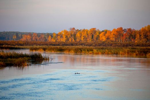 Autumn Northern Saskatchewan wilderness prestine rural scenic