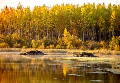 Autumn Northern Saskatchewan wilderness prestine rural scenic