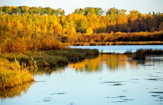 Autumn Northern Saskatchewan wilderness prestine rural scenic