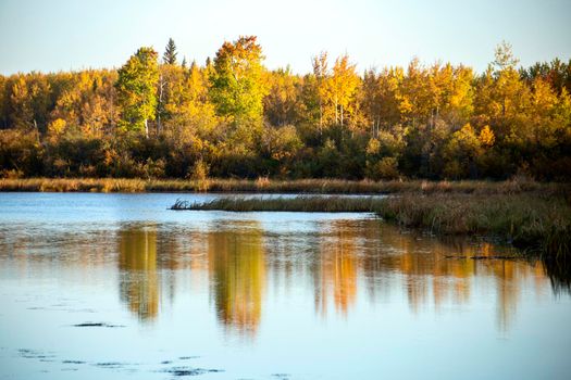 Autumn Northern Saskatchewan wilderness prestine rural scenic
