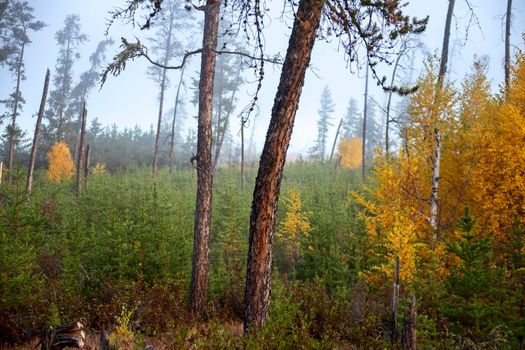 Autumn Northern Saskatchewan wilderness prestine rural scenic