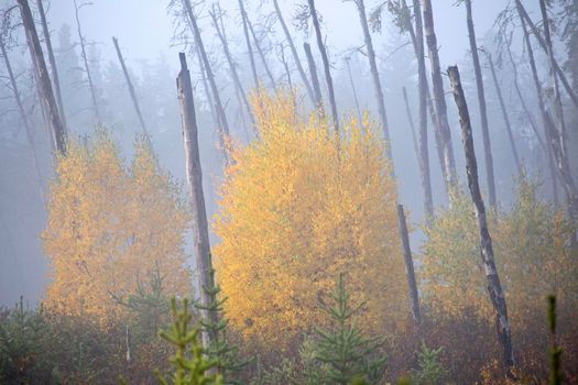 Autumn Northern Saskatchewan wilderness prestine rural scenic