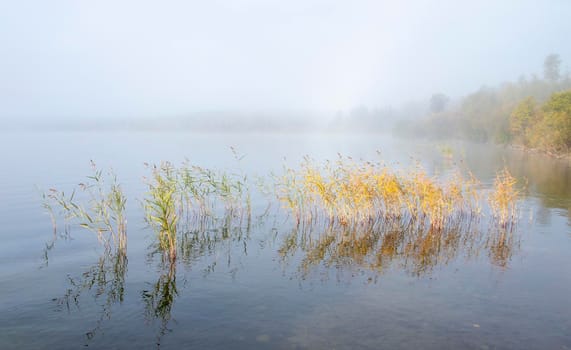 Autumn Northern Saskatchewan wilderness prestine rural scenic