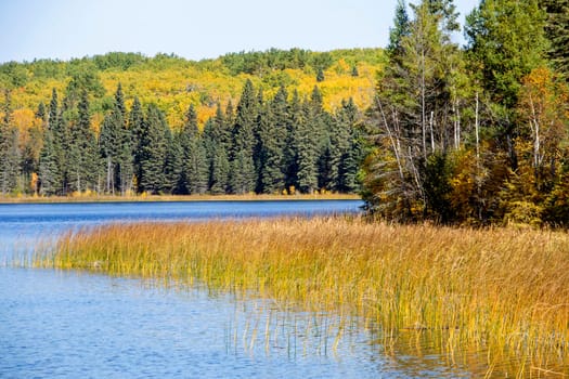 Autumn Northern Saskatchewan wilderness prestine rural scenic