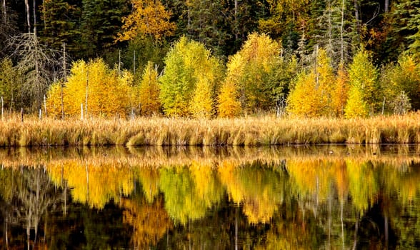 Autumn Northern Saskatchewan wilderness prestine rural scenic
