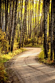 Autumn Northern Saskatchewan wilderness prestine rural scenic