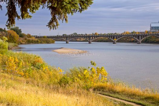 North Saskatchewan River Saskatoon