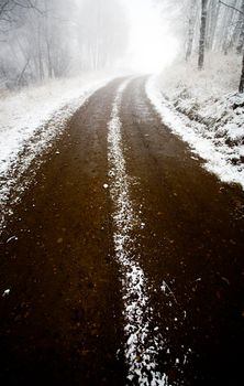 Cypress Hills Saskatchewan Winter fresh Snow Fall