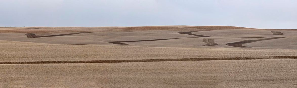 Design Field Saskatchewan spring crop stubble panoramic