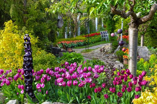 Colorful spring flowers in the beautiful garden