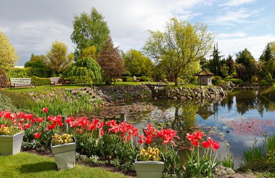 Spring garden with a pond and flowers