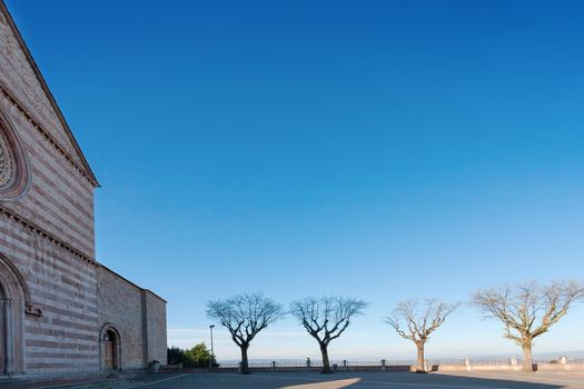 Trees in the church yard at sunrise