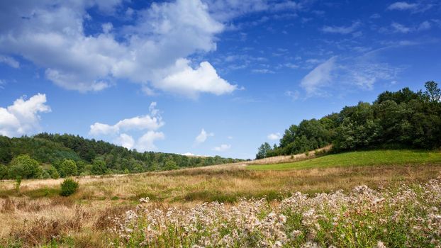 Green mountain landscape and cloudy sky