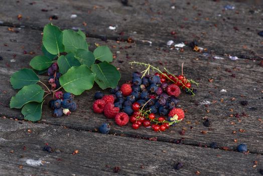 Ripe shadberry, redcurrant and raspberry with branch and leaves scattered on the weathered wooden table in garden