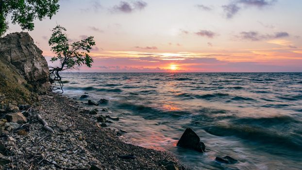Single tree on the rocky shore at summer sunrise