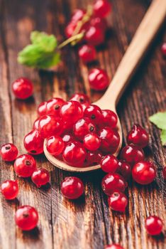 Spoonful of red currant over the dark wooden surface