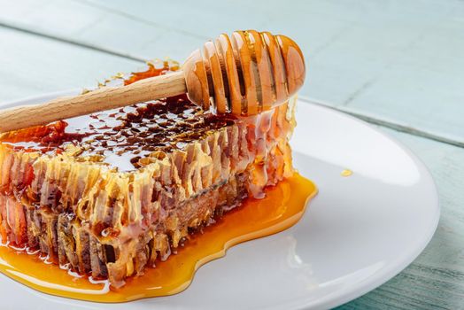 Delicious honeycomb on white plate with wooden honey dipper