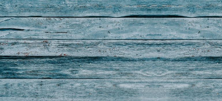Gray wood texture with traces of cracked aquamarine paint.Abstract background,blank template. rustic weathered wood barn background with scratches,nails and knots.Copy space.
