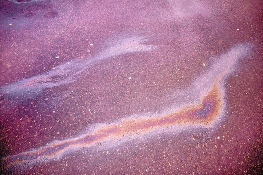 Oil slick looks like a bird on the asphalt road background. Oil stain on Asphalt, color Gasoline fuel spots on Asphalt Road as Texture or Background