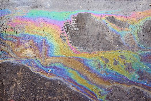 A rainbow spot of gasoline or oil on the asphalt.