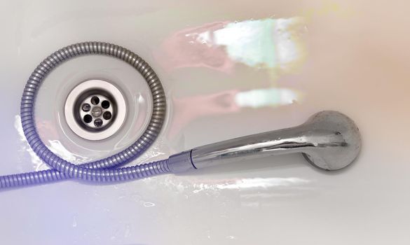 Wet shower head lying in the bathroom. Close up, copy space.
