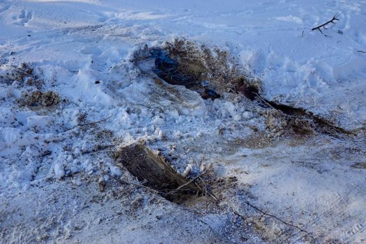 Tire track of a car stalled in the snow close-up