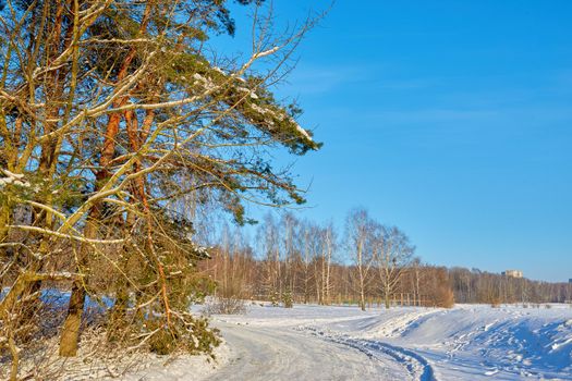 Snow-covered forest road outside the city on a clear sunny winter day