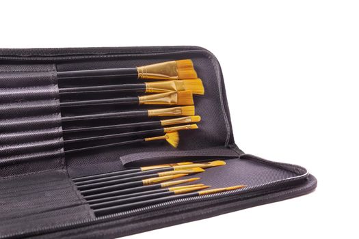 A set of new art brushes for painting in a pencil case isolated on white. Art painting tool shopping concept