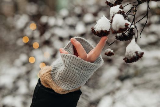 hand touches a snowy branch the snow melts