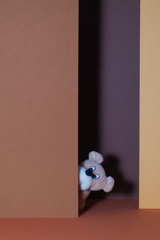 The curious plush dog in the open door.  The cheerful plush dog among paper cartons