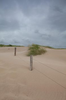 The beach in Hargen aan Zee in Netherlands without foreign tourists after the coronavirus pandemic.