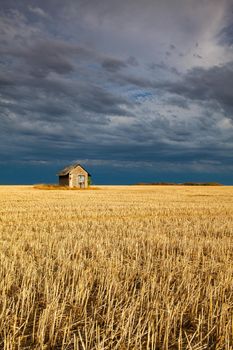 Old barn on the empty field after harvesting in sunny day. Panorama picture with mowed wheat field  under  sunny day. Czech Republic.