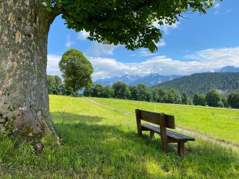 Landscape with bench in Ramsau am Dachstein, Austria. This wonderful area of alpine pastures at the foot of the imposing south wall of Dachstein offers many hiking and amazing lookout points.