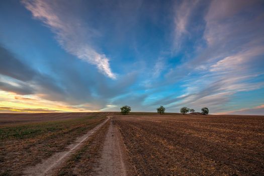 On the dirt road between empty field after harvesting in summer evening. Czech Republic. Amazing sunset in Czech Bohemian Upland.