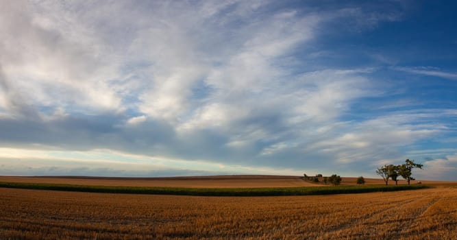 On the empty field after harvesting in summer evening. Czech Republic. Amazing sunset in Czech Bohemian Upland.