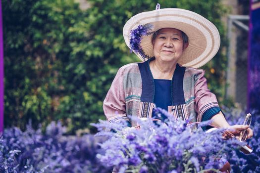 asian old elderly female elder woman resting relaxing in lavender flower garden. senior leisure lifestyle