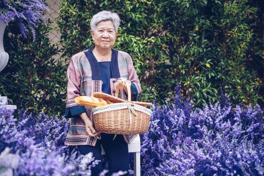asian old elderly female elder woman holding picnic basket in lavender flower garden. senior leisure lifestyle