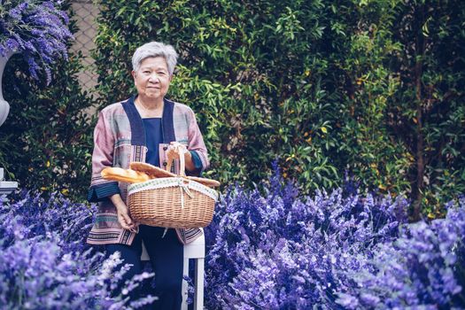 asian old elderly female elder woman holding picnic basket in lavender flower garden. senior leisure lifestyle