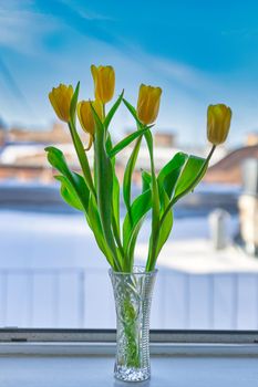 A bouquet of yellow tulips in a crystal vase against a snow-covered roof. Vertical frame